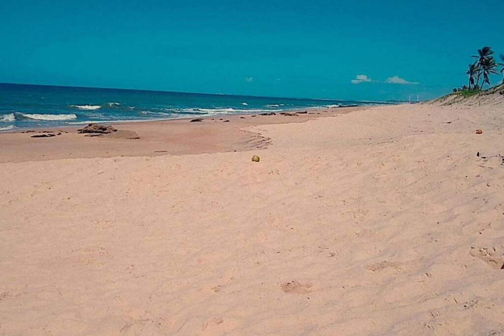 Paraiso Frente Ao Mar, Replica De Uma Vila Grega! アラカティ エクステリア 写真